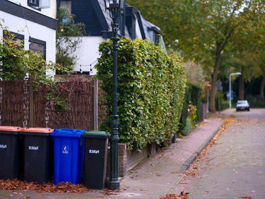 A row of four waste bins positioned on a paved sidewalk adjacent to a residential property, with the bins featuring durable plastic bodies and fitted with hinged lids; two are black, one is blue, and one appears to be a muted orange or terracotta colour, with the blue bin prominently displaying the logo 'RMN' in white letters. Behind the bins, a tall, ornate black street lamp with decorative detailing is situated next to a lush, dense hedge composed of green foliage with some yellowing leaves, indicating a seasonal change. To the left, a section of a modern white house with large windows framed in black is partially visible, with exterior lights and string lights hanging along the eaves. The hedge acts as a natural boundary along the driveway, which continues into the distance, bordered by a curb on the right where fallen autumn leaves are scattered. The background features a tree-lined street with a parked car visible further ahead, and the foliage in the scene displays a mixture of green and yellow tones, suggesting an autumn setting. The overall scene suggests an alternative to communal rubbish collection, hinting at private waste management or scheduled on-site rubbish removal by [COMPANY_NAME].