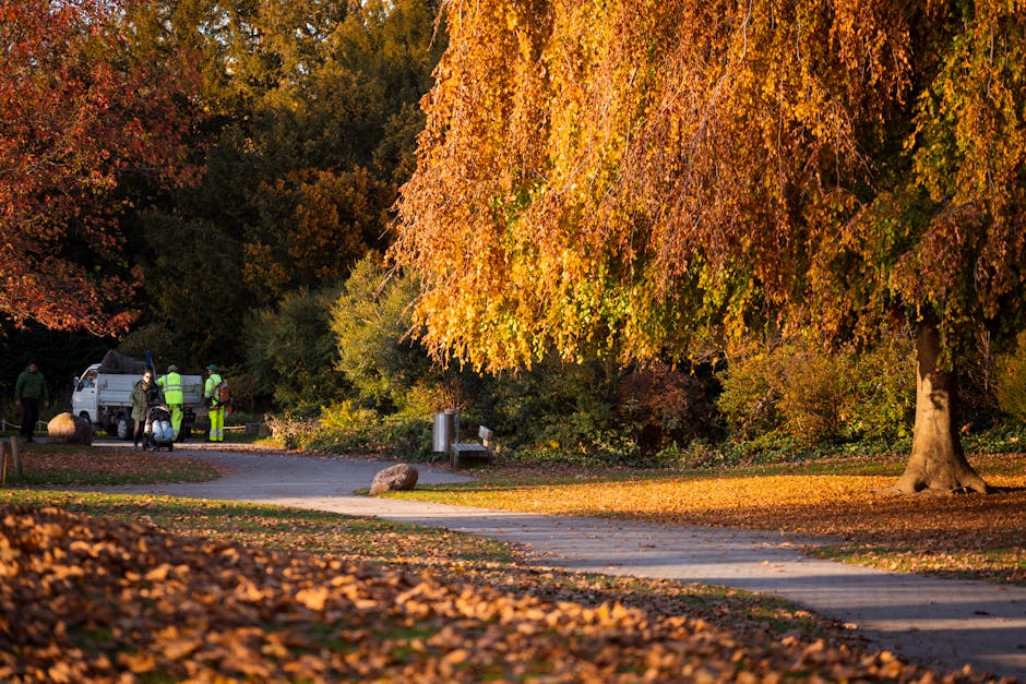 Autumn scene in a park featuring a large deciduous tree with golden yellow, orange, and reddish-brown leaves on its sprawling branches. Beneath the tree, the ground is covered with fallen leaves creating a colorful carpet. In the background, a small group of workers dressed in high-visibility jackets and dark clothing are near a white utility van parked on a paved pathway, possibly engaged in rubbish removal or park maintenance. A silver waste bin is positioned alongside the pathway, and a roadside boulder partially obstructs the scene. The environment is illuminated by warm, natural sunlight, highlighting the vibrant autumn foliage and casting long shadows across the paved walkway. The setting suggests an outdoor area undergoing some form of waste collection or garden clearance, aligning with independent rubbish removal services for local parks and green spaces.